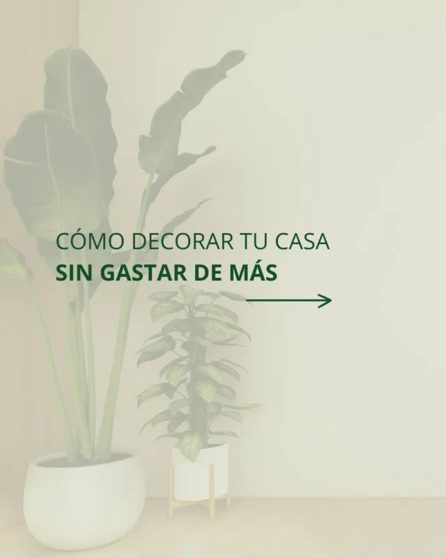 🇪🇸 Renovar tu espacio no significa hacer grandes inversiones.  Con pequeños cambios como colores adecuados, detalles naturales y buena iluminación, puedes transformar tu casa y hacerla más acogedora.  🇬🇧 Refreshing your space doesn’t have to mean big investments.  With small changes like the right colors, natural details, and good lighting, you can transform your home and make it more welcoming.  #DecoraciónEconómica #TuHogarIdeal #InmoRamos #ViviendaMálaga #property #realestate